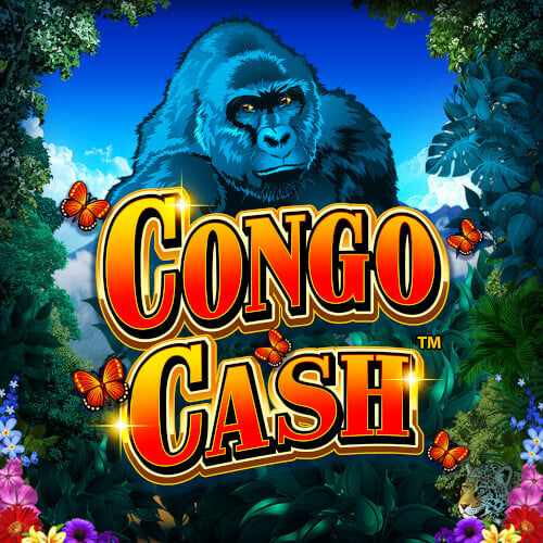 Playing Slots Online In Congo